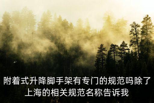 上海市關于腳手架的規(guī)范，附著式升降腳手架有專門的規(guī)范嗎除了上海的相關規(guī)范名稱告訴我
