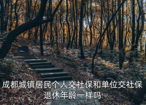 成都城鎮居民個人交社保和單位交社保退休年齡一樣嗎