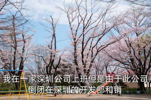 我在一家深圳公司上班但是由于此公司倒閉在深圳的開(kāi)發(fā)部和銷(xiāo)