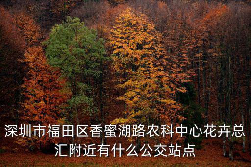深圳市福田區(qū)香蜜湖路農(nóng)科中心花卉總匯附近有什么公交站點(diǎn)