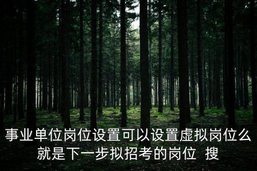 事業(yè)單位崗位設(shè)置可以設(shè)置虛擬崗位么就是下一步擬招考的崗位  搜