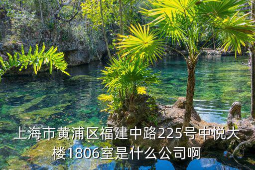 上海市黃浦區福建中路225號中悅大樓1806室是什么公司啊