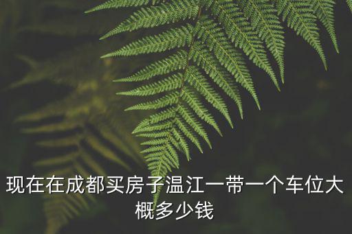 成都市的房子在西藏賣，十三歲孩子可不可以在成都買房子戶口是成都的 在之前父親名下