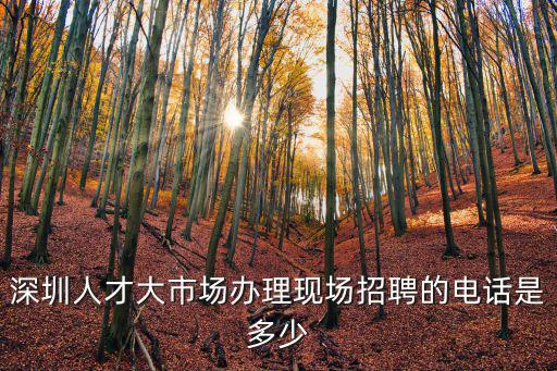 深圳人才大市場辦理現(xiàn)場招聘的電話是多少