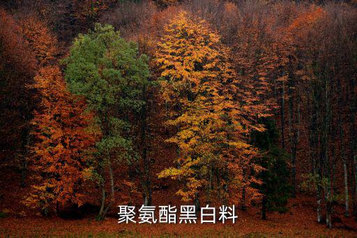 聚氨酯黑白料