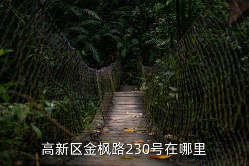 高新區(qū)金楓路230號(hào)在哪里