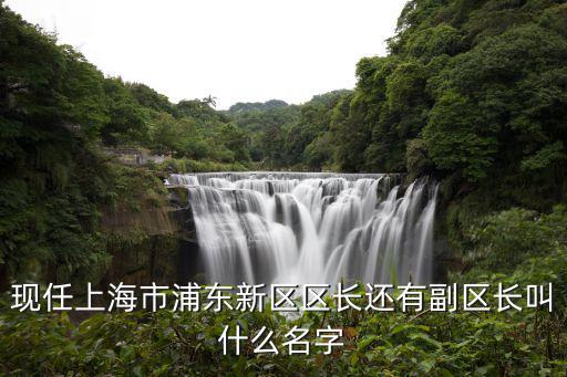 現任上海市浦東新區區長還有副區長叫什么名字