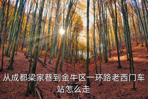 從成都梁家巷到金牛區一環路老西門車站怎么走