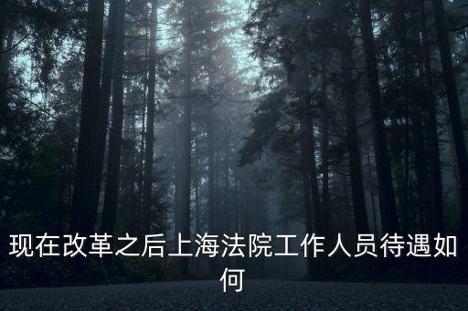 上海市高院對事業單位用工規定，現在改革之后上海法院工作人員待遇如何