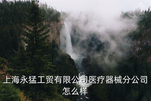 上海永猛工貿有限公司醫療器械分公司怎么樣