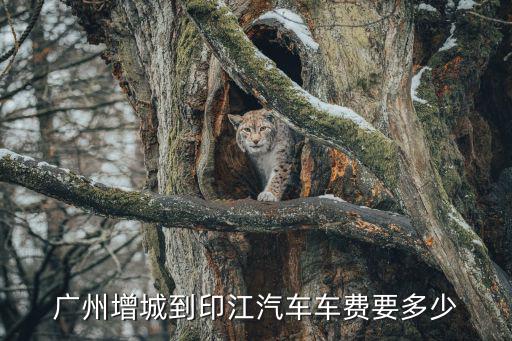 廣州增城到印江汽車車費要多少