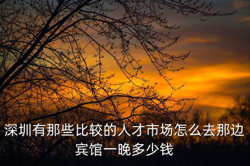 深圳有那些比較的人才市場(chǎng)怎么去那邊賓館一晚多少錢