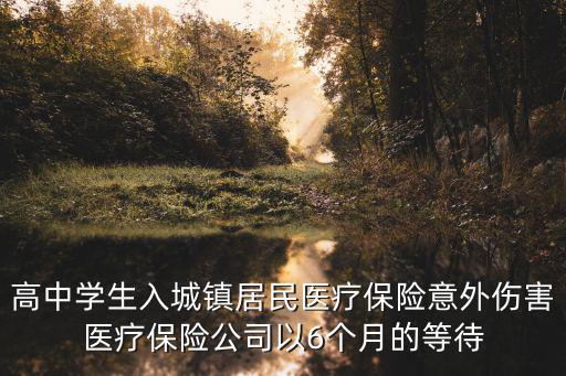 高中學生入城鎮居民醫療保險意外傷害醫療保險公司以6個月的等待