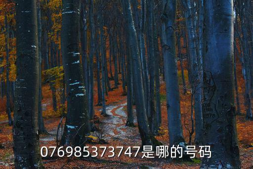 076985373747是哪的號碼