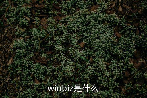 winbiz是什么