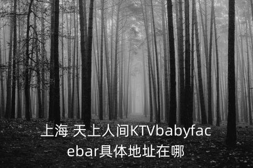 上海 天上人間KTVbabyfacebar具體地址在哪