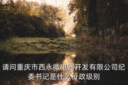 請問重慶市西永微電園開發(fā)有限公司紀委書記是什么行政級別