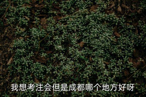 我想考注會但是成都哪個地方好呀