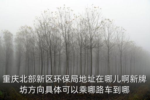重慶北部新區環保局地址在哪兒啊新牌坊方向具體可以乘哪路車到哪