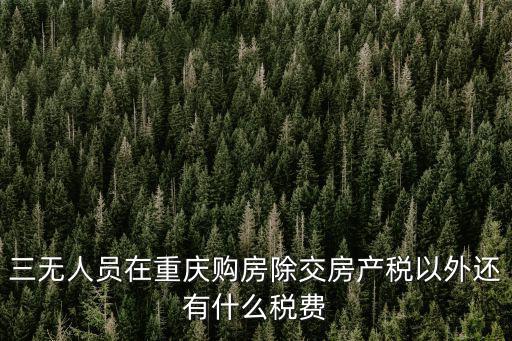 三無人員在重慶購房除交房產稅以外還有什么稅費