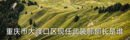 重慶市大渡口區現任武裝部部長是誰