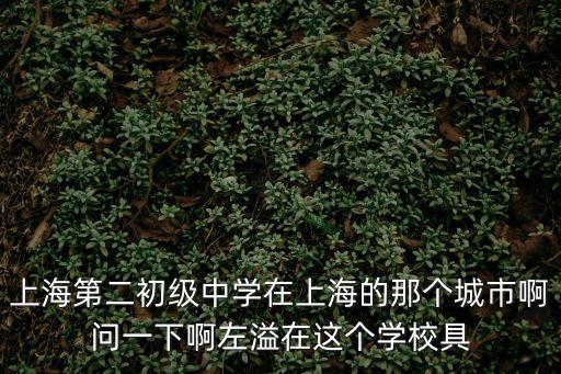 上海市金山區(qū)張堰二中，上海第二初級中學在上海的那個城市啊問一下啊左溢在這個學校具