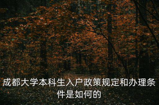 成都大學本科生入戶政策規(guī)定和辦理條件是如何的