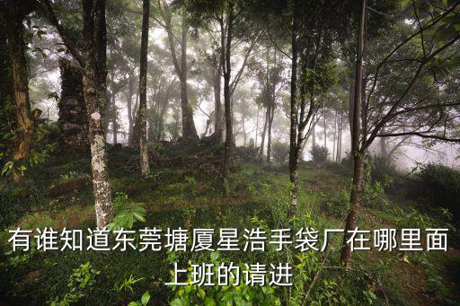 有誰知道東莞塘廈星浩手袋廠在哪里面上班的請進