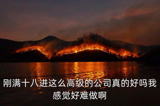 剛滿十八進這么高級的公司真的好嗎我感覺好難做啊