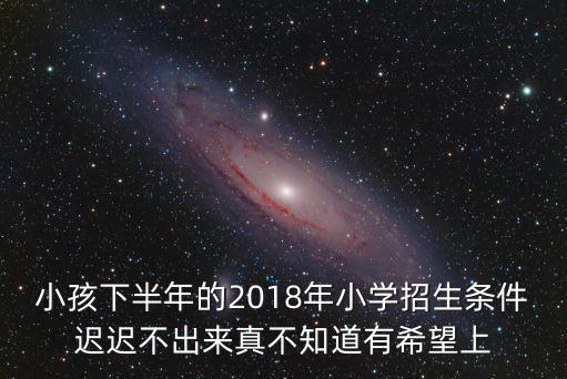 小孩下半年的2018年小學招生條件遲遲不出來真不知道有希望上