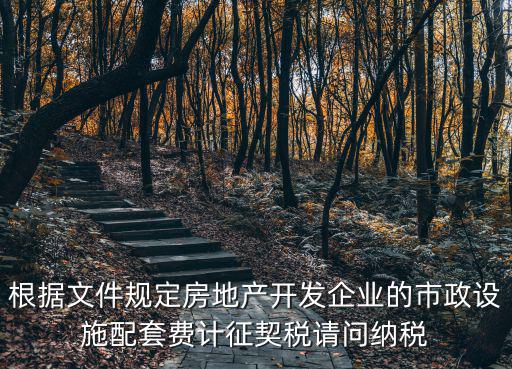 根據(jù)文件規(guī)定房地產(chǎn)開發(fā)企業(yè)的市政設(shè)施配套費計征契稅請問納稅