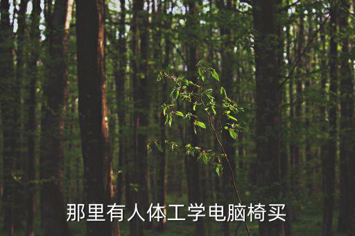 廣州聯(lián)鑫椅業(yè)，那里有人體工學(xué)電腦椅買(mǎi)