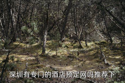 深圳有專門的酒店預(yù)定網(wǎng)嗎推薦下