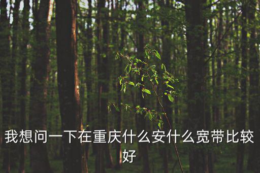 重慶市家里裝寬帶哪個好，重慶辦寬帶那個更好點