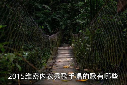 2015維密內衣秀歌手唱的歌有哪些