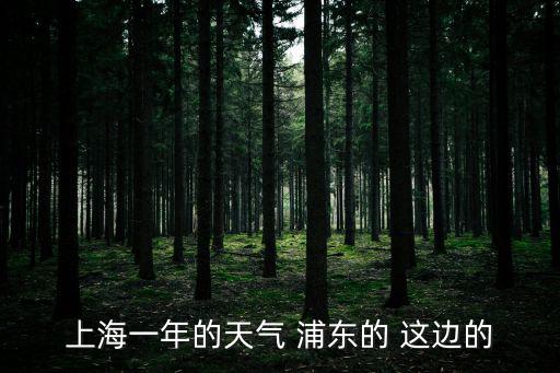 上海一年的天氣 浦東的 這邊的