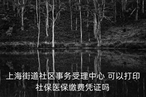 上海街道社區事務受理中心 可以打印社保醫保繳費憑證嗎