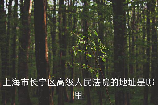 上海市長寧區高級人民法院的地址是哪里