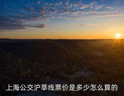 上海公交滬莘線票價是多少怎么算的