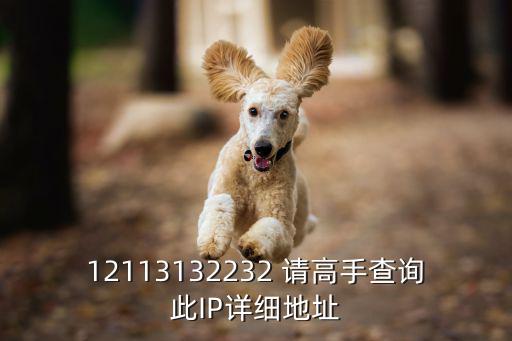 12113132232 請(qǐng)高手查詢此IP詳細(xì)地址