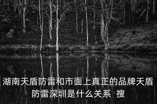 湖南天盾防雷和市面上真正的品牌天盾防雷深圳是什么關系  搜