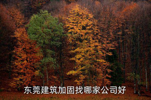 東莞市匯通建筑工程有限公司，東莞上最有名的建筑公司是什么公司