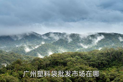 廣州塑料袋批發(fā)市場在哪