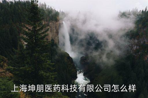 上海坤朋醫(yī)藥科技有限公司怎么樣