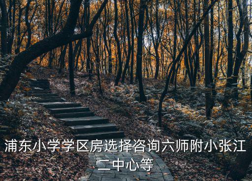 浦東小學(xué)學(xué)區(qū)房選擇咨詢六師附小張江二中心等