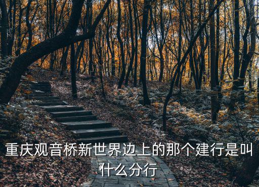 重慶觀音橋新世界邊上的那個建行是叫什么分行