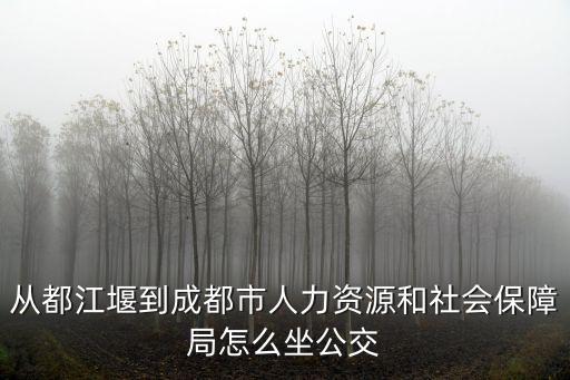 從都江堰到成都市人力資源和社會保障局怎么坐公交