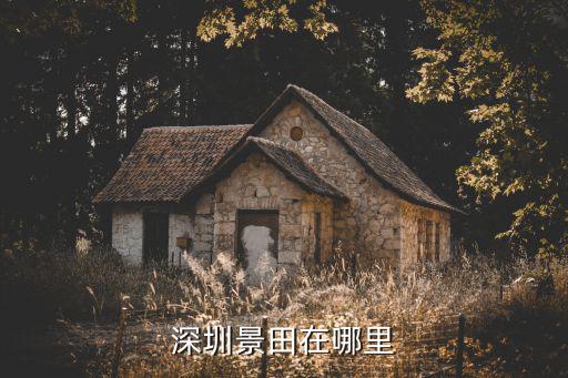 深圳景田在哪里