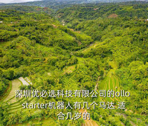 深圳優必選科技有限公司的ollo starter機器人有幾個馬達 適合幾歲的
