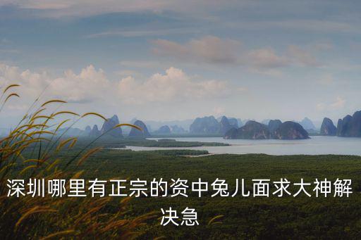 深圳哪里有正宗的資中兔兒面求大神解決急